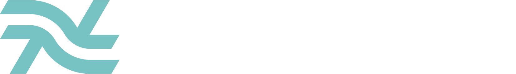 Vlaams loodswezen